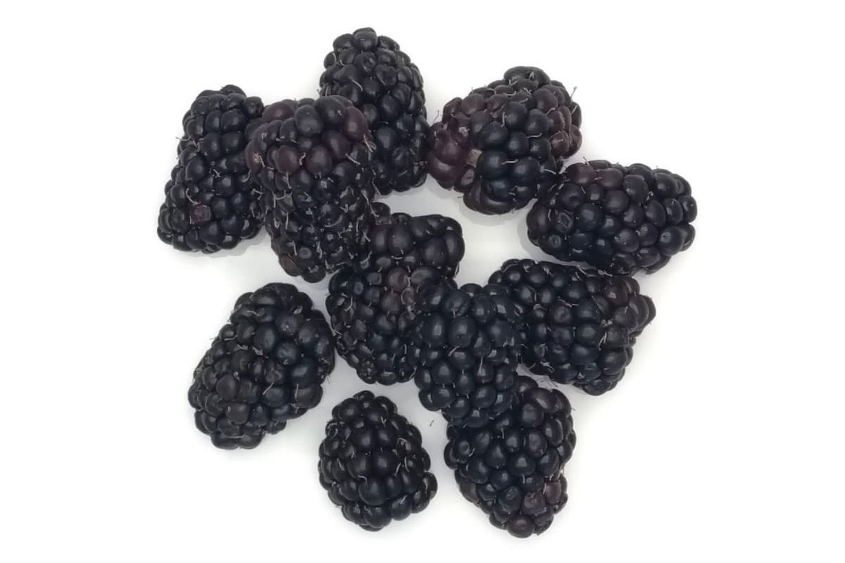 Blackberries