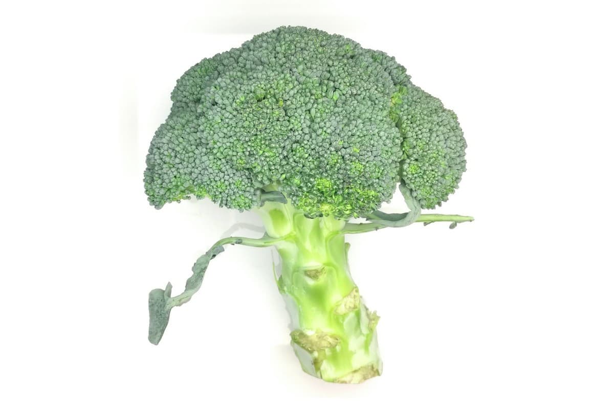 Broccoli