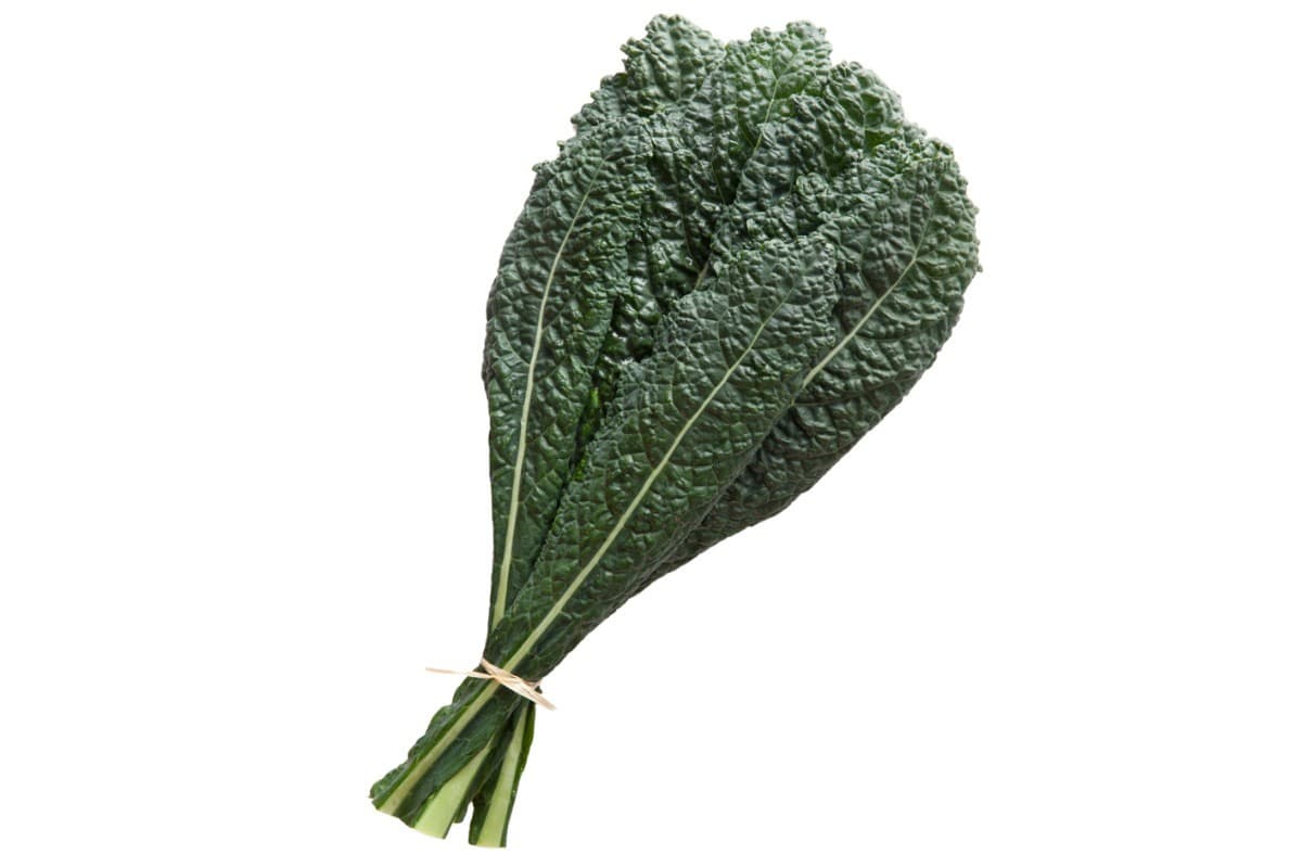 Cavolo Nero