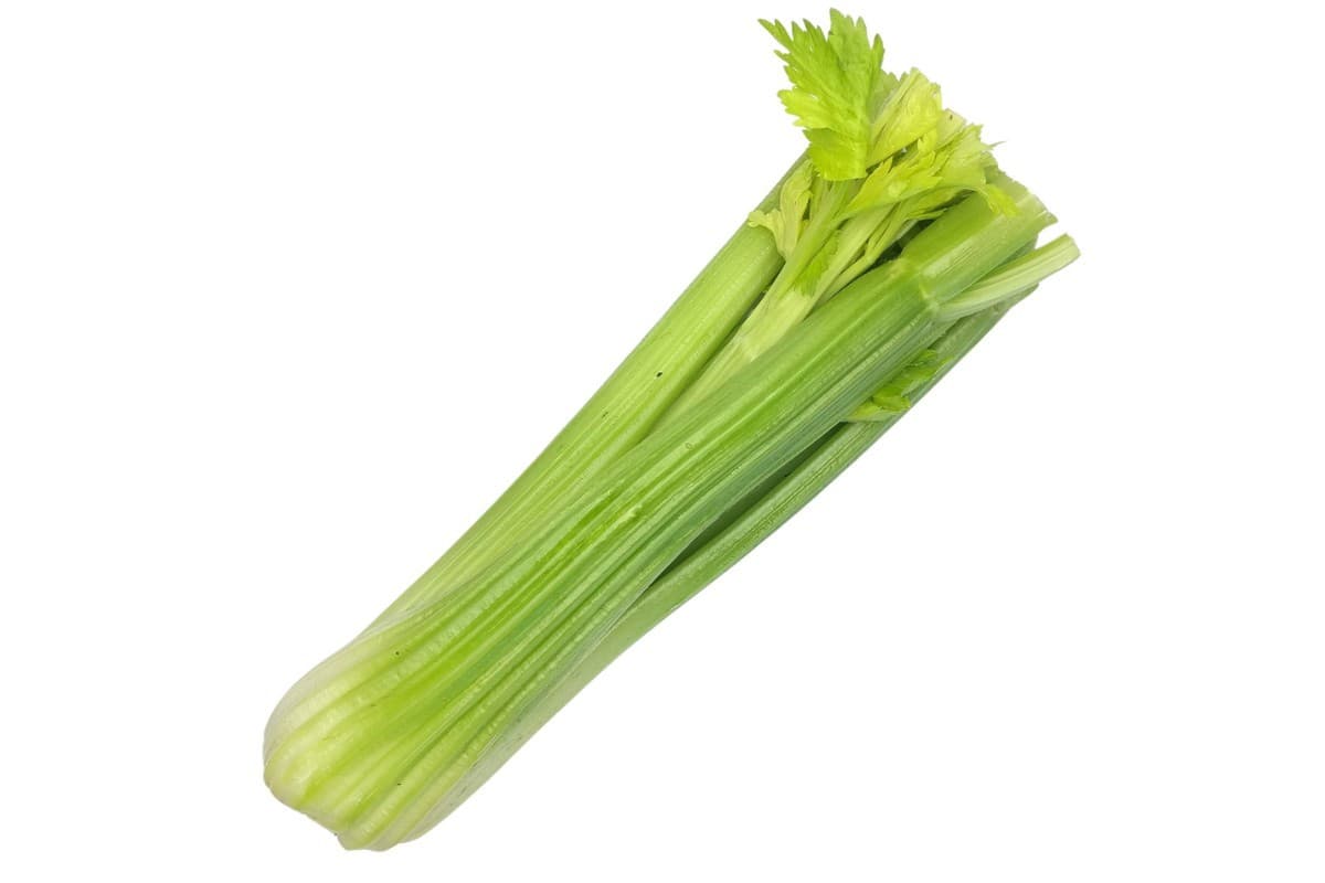 Celery