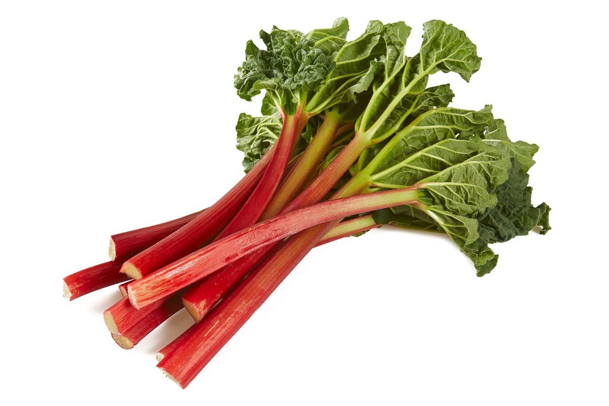 Forced Rhubarb