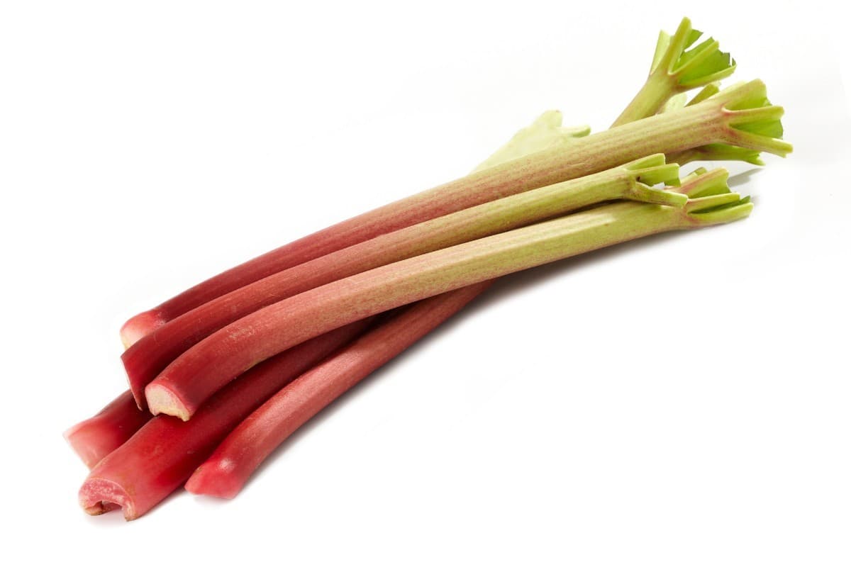 Outdoor Rhubarb