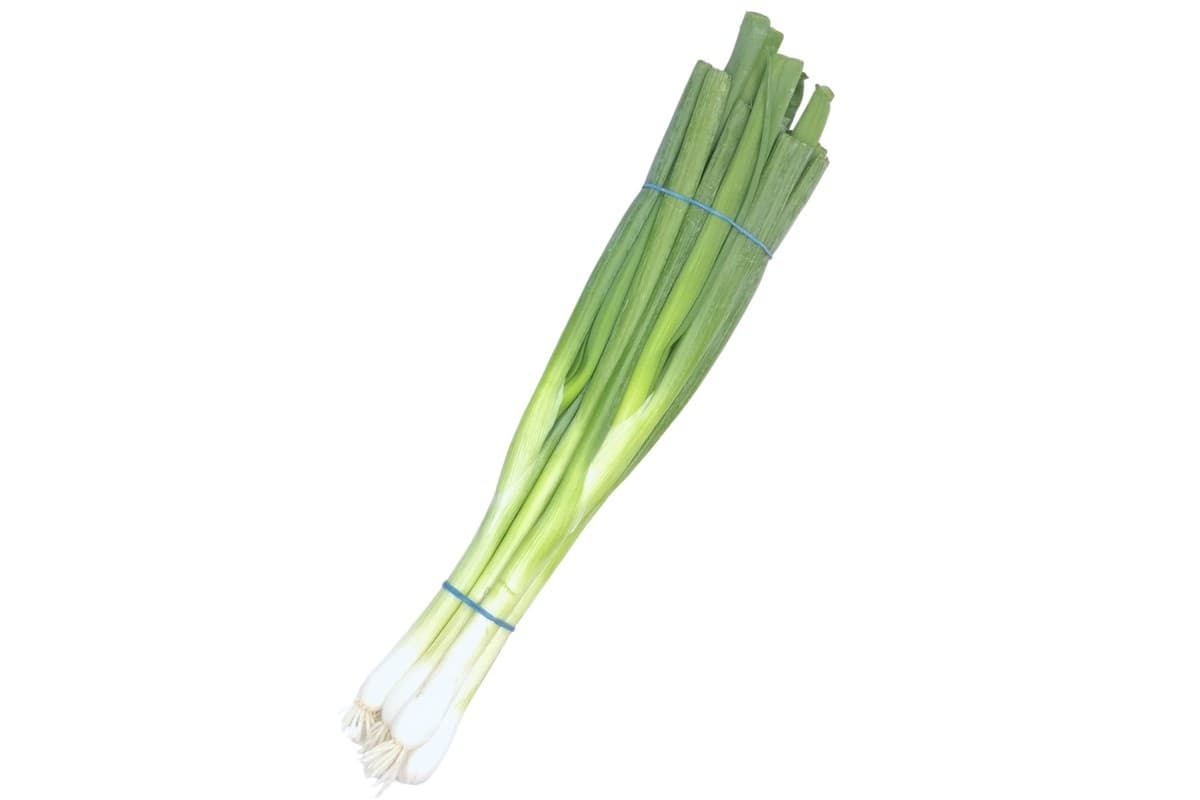 Spring Onion