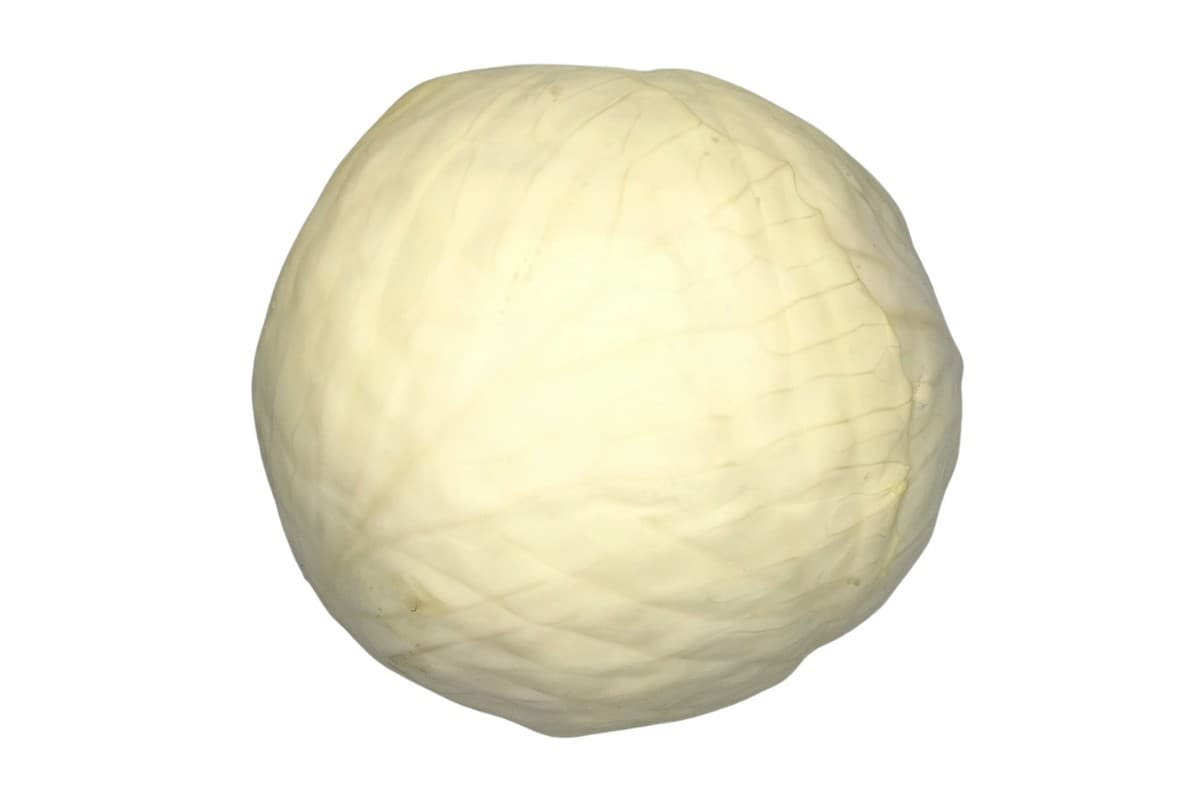 White Cabbage