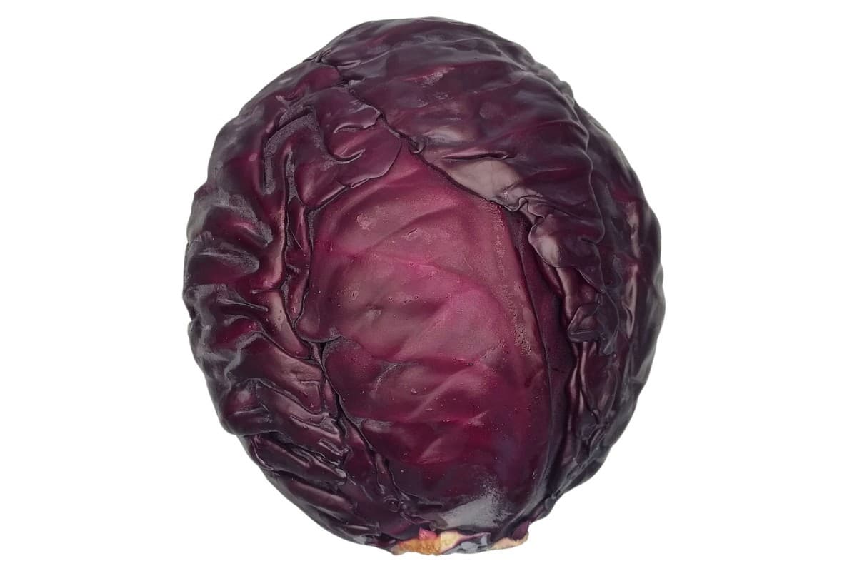 Red Cabbage