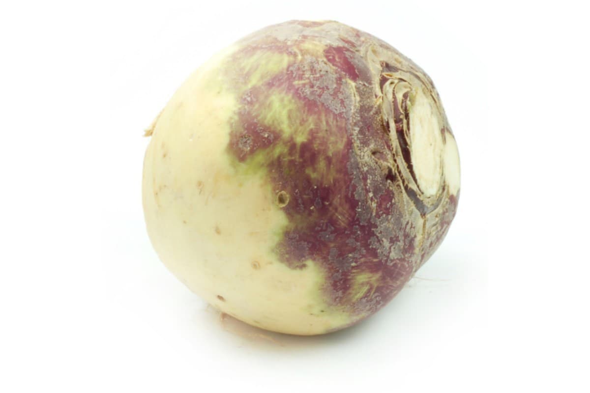Swede